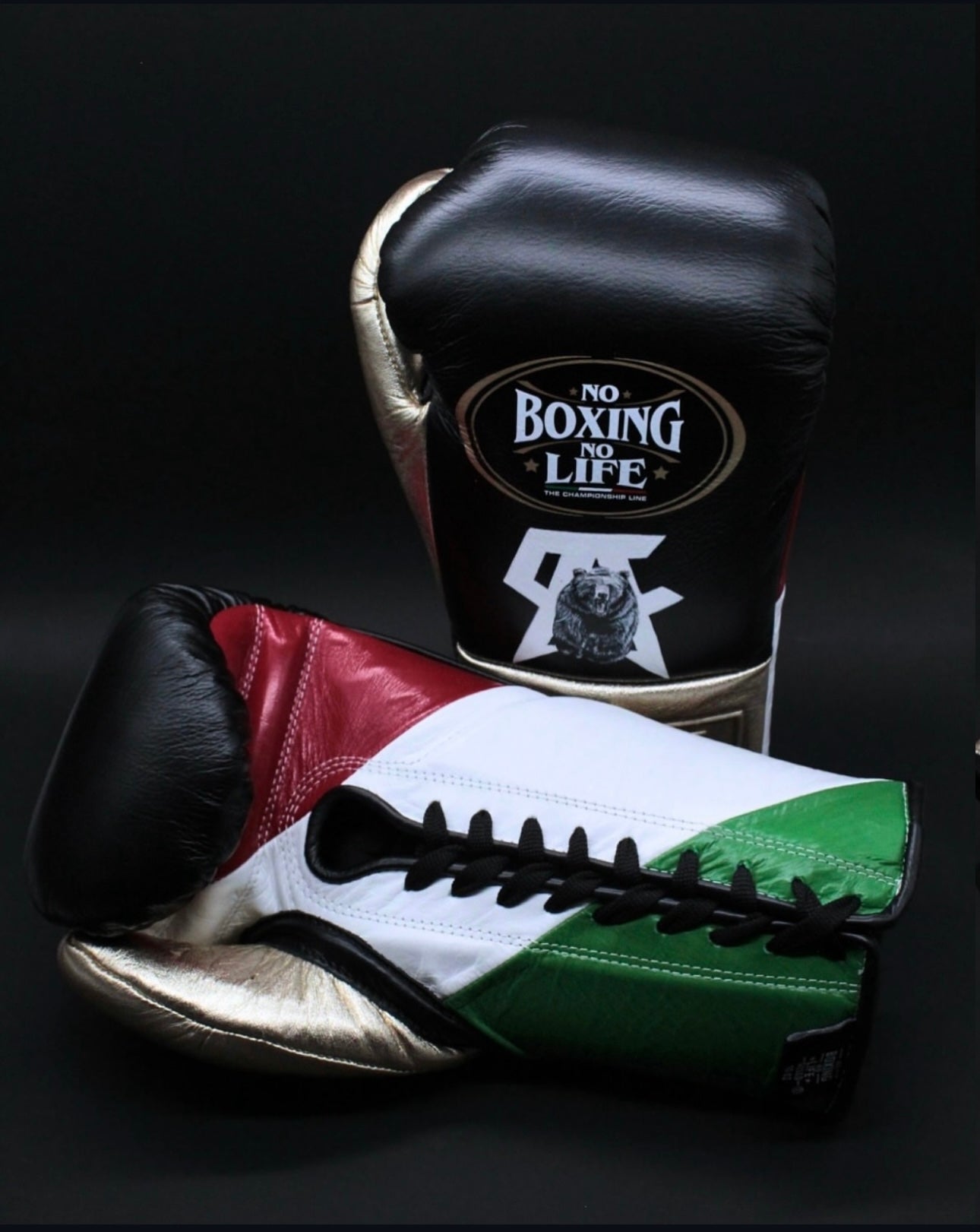 Canelo Edition Fight Gloves - No Boxing No Life Custom Handmade Boxing Gloves - Canelo vs Crawford